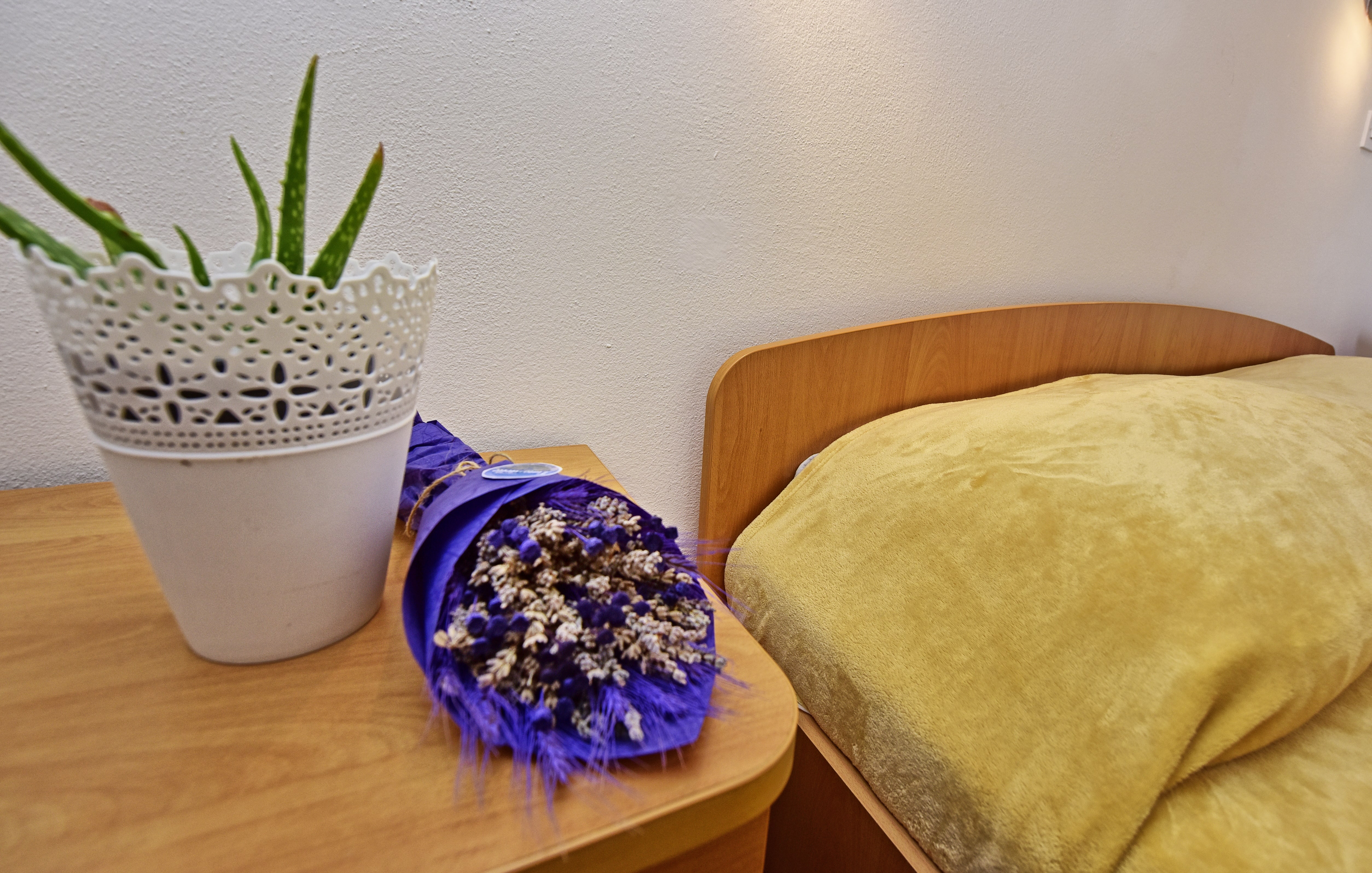 apartman apartmant Novigrad